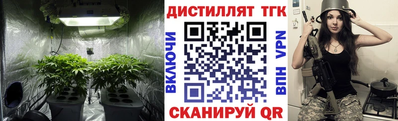 Купить закладки Калачинск ТГК THC oil